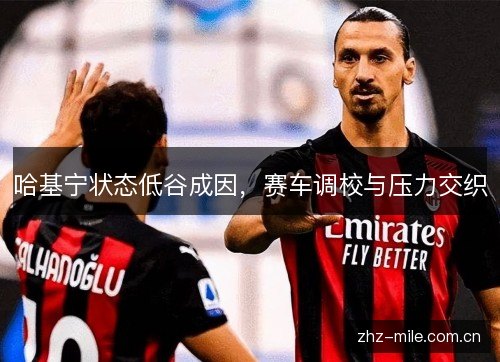 哈基宁状态低谷成因，赛车调校与压力交织