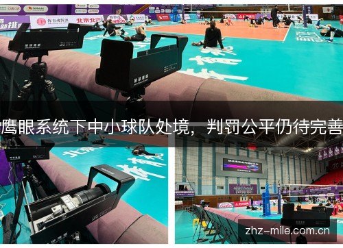 鹰眼系统下中小球队处境,判罚公平仍待完善 鹰眼系统下中小球队处境,判罚公平仍待完善